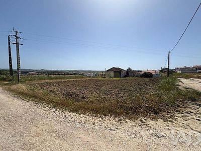 listing-picture-0