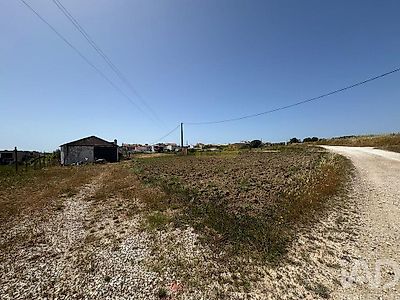 listing-picture-0
