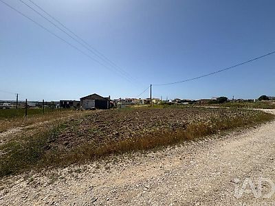 listing-picture-0