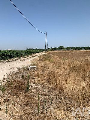 listing-picture-0