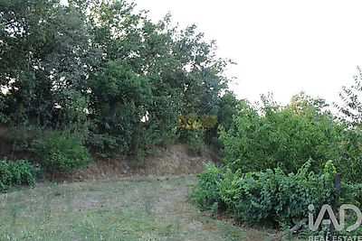 listing-picture-0