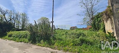listing-picture-0