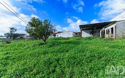 listing-picture-0
