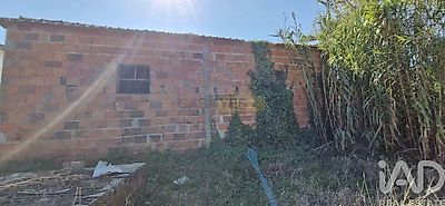 listing-picture-0