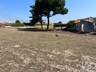 listing-picture-0