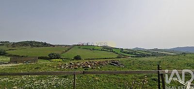 listing-picture-0