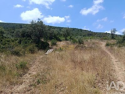 listing-picture-0