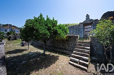 listing-picture-0