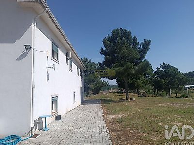 listing-picture-0