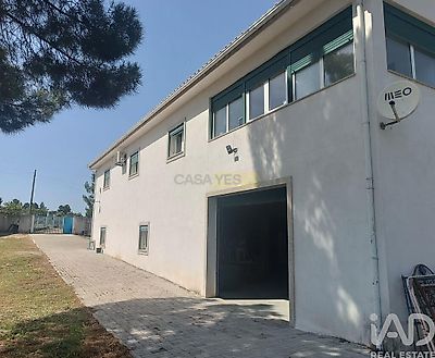 listing-picture-0