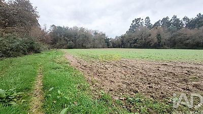 listing-picture-0