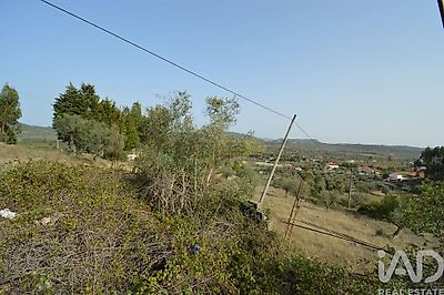 listing-picture-0