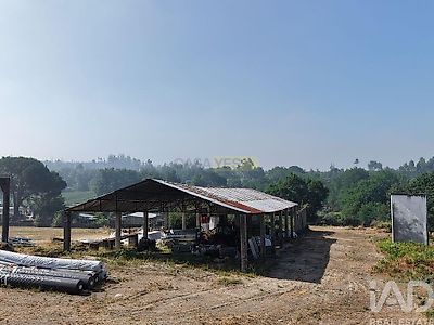 listing-picture-0