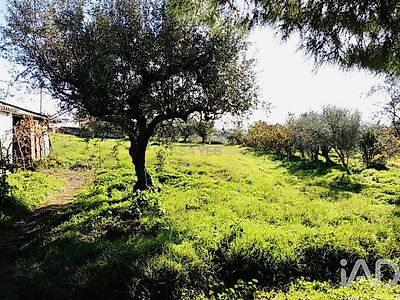 listing-picture-0