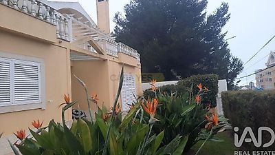 listing-picture-0