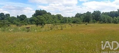 listing-picture-0