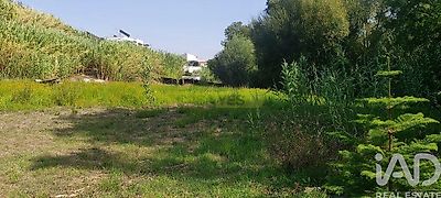 listing-picture-0