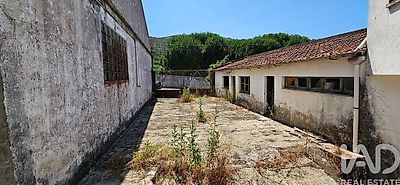 listing-picture-0
