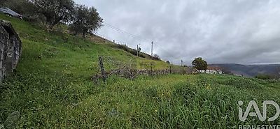 listing-picture-0
