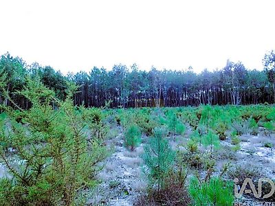 listing-picture-0