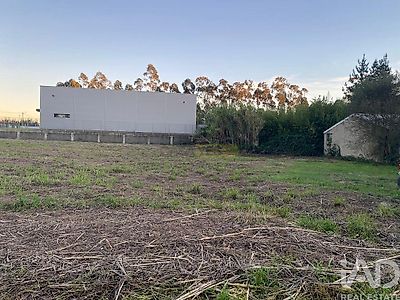 listing-picture-0