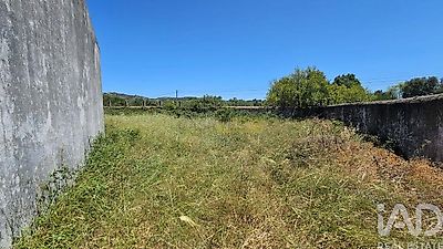 listing-picture-0