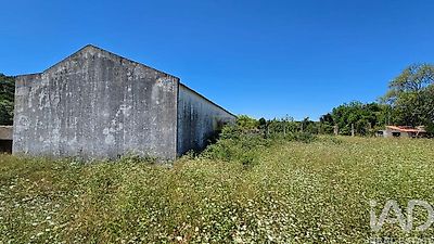 listing-picture-0