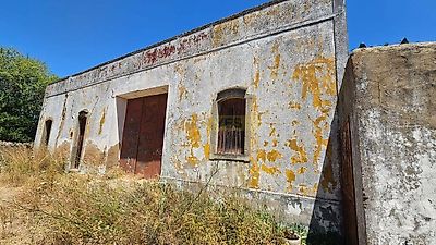 listing-picture-0