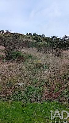 listing-picture-0