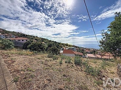 listing-picture-0