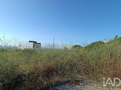 listing-picture-0