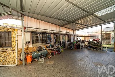 listing-picture-0