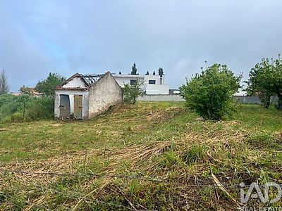 listing-picture-0