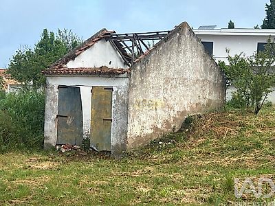 listing-picture-0