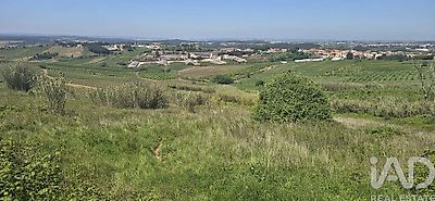 listing-picture-0