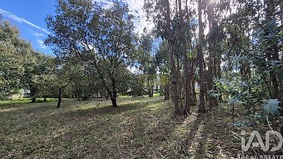 listing-picture-0