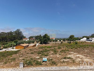 listing-picture-0