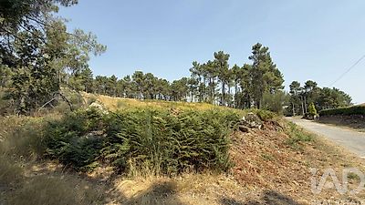 listing-picture-0