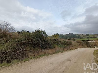 listing-picture-0