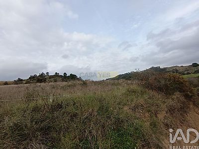 listing-picture-0
