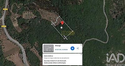 listing-picture-0