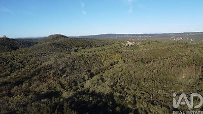 listing-picture-0