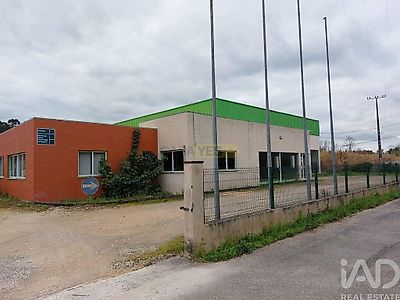 listing-picture-0