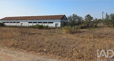 listing-picture-0