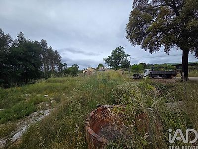 listing-picture-0