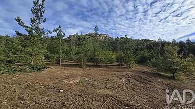 listing-picture-0