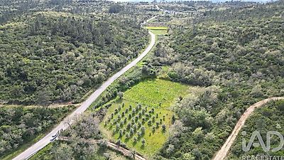 listing-picture-0