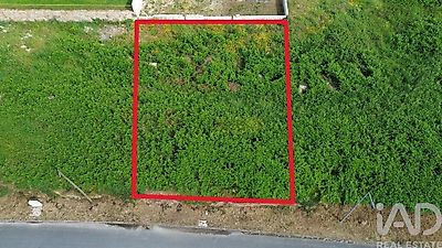 listing-picture-0