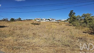 listing-picture-0