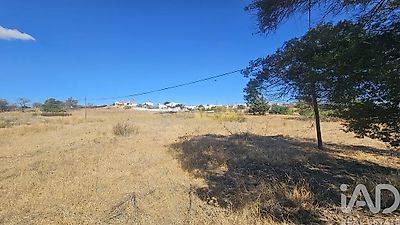 listing-picture-0